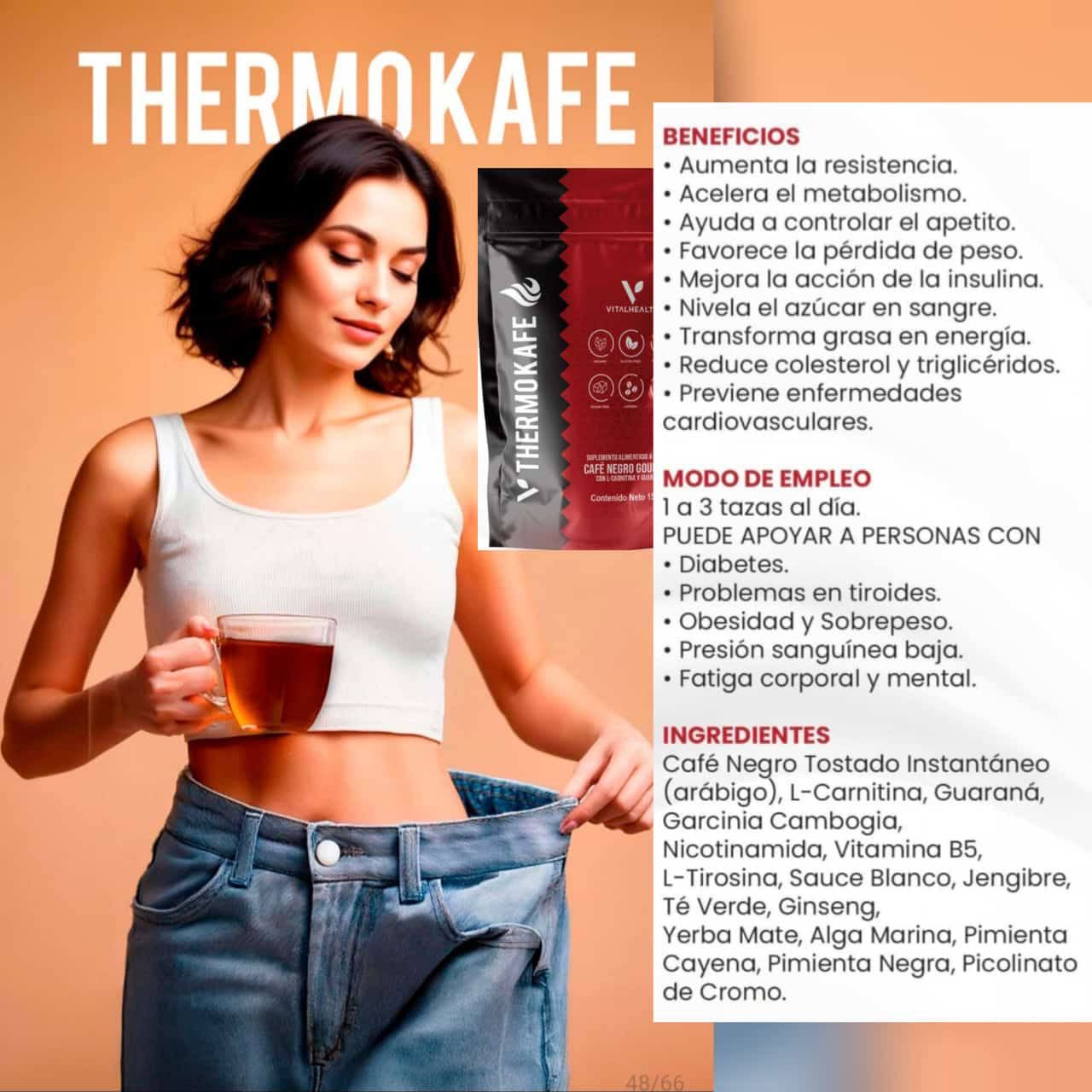 V-Thermokafe 50 servings